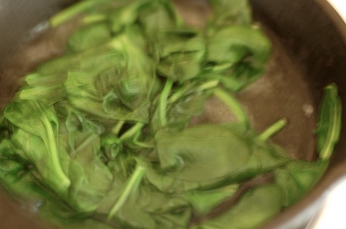 spinach-blur.jpg