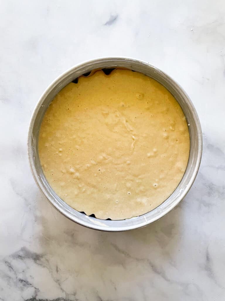 Busy day cake batter in the pan.