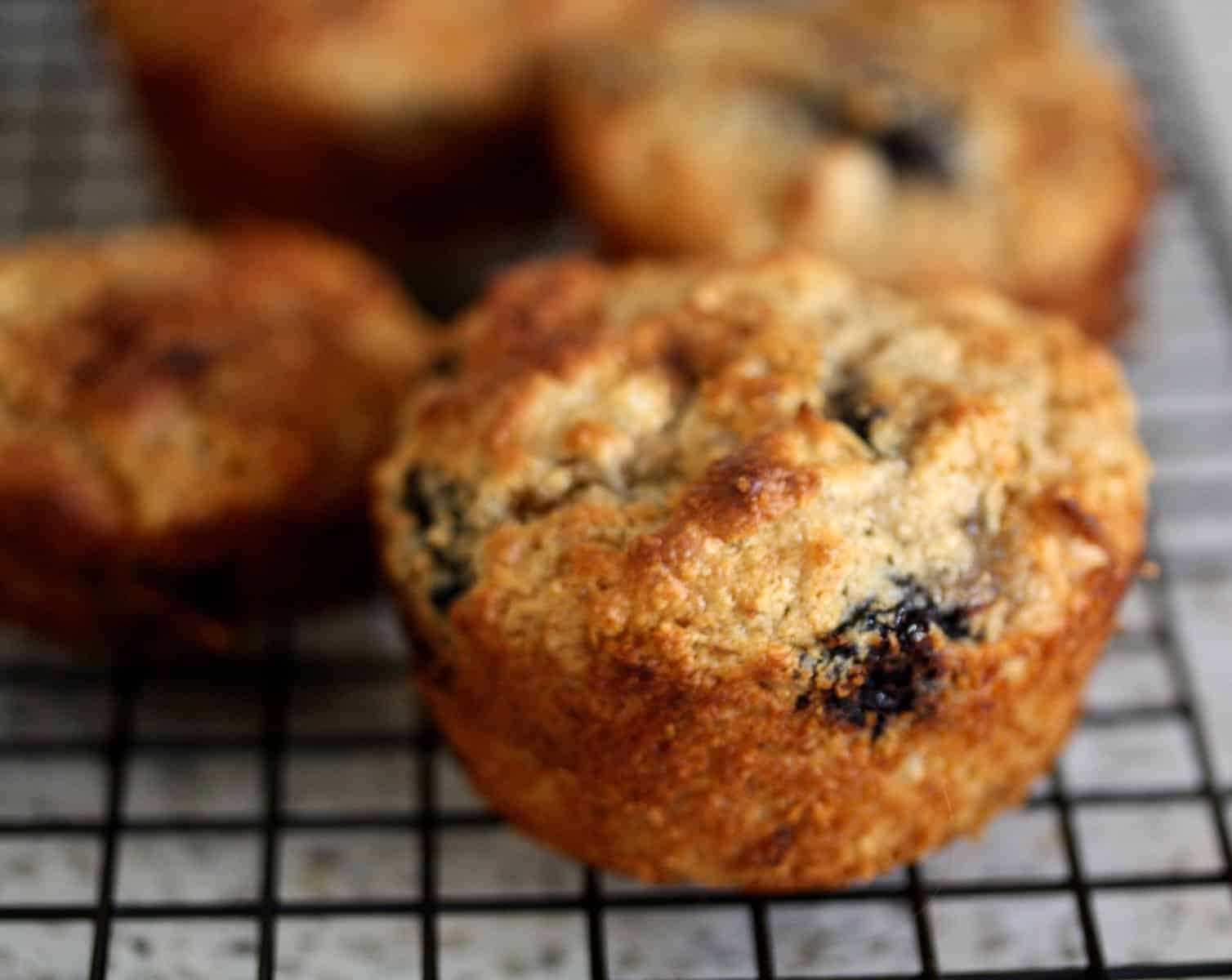 A close up of a leftover oatmeal muffins with blueberries on a wire rack.