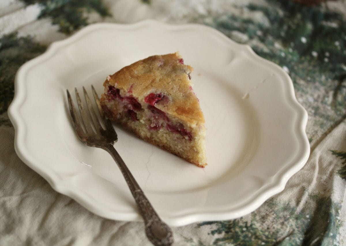 A slice of cranberry cake