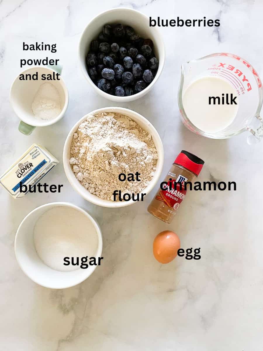 Ingredients for gluten free blueberry coffee cake are shown: cinnamon, sugar, egg, milk, blueberries, butter, oat flour, baking powder and salt.
