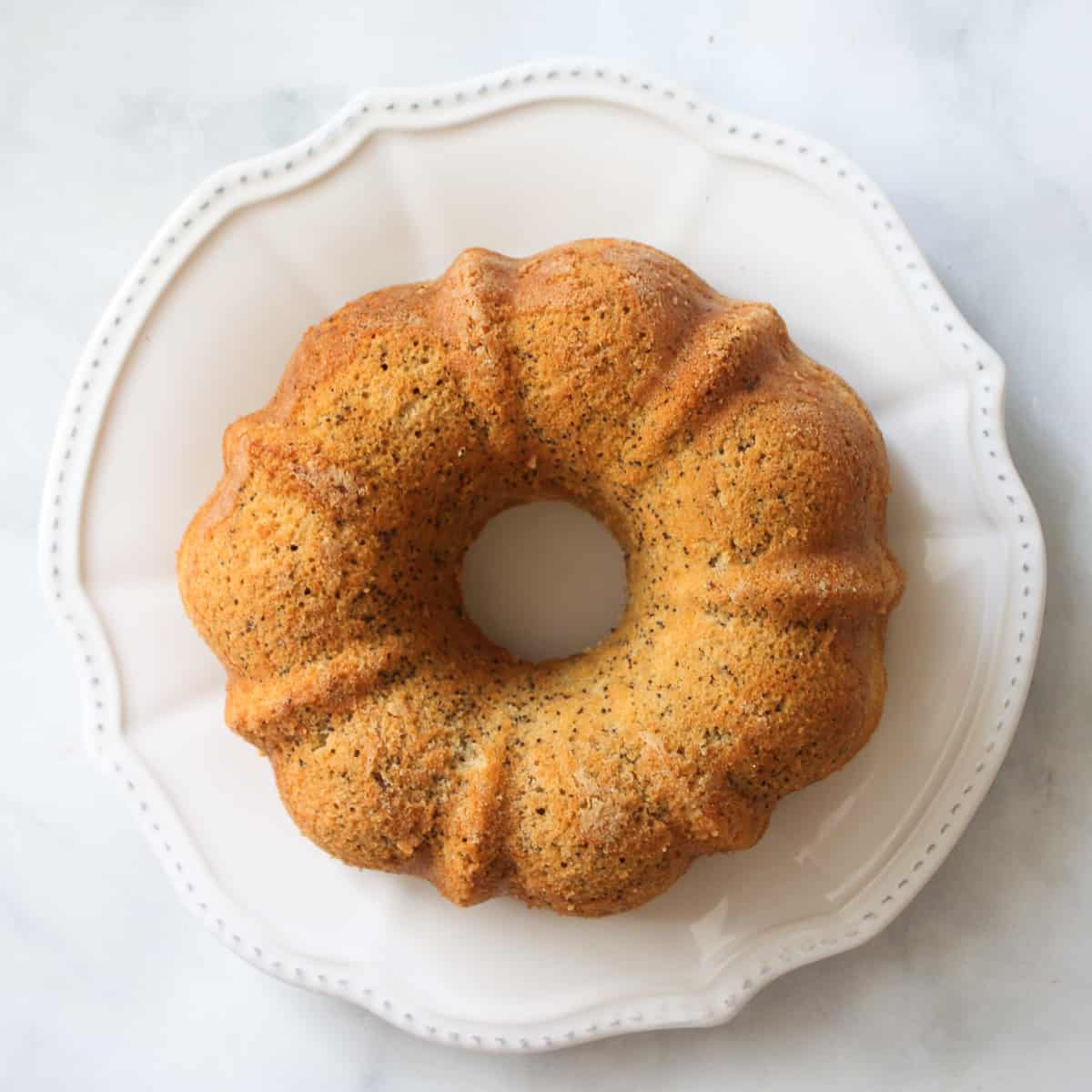 A lemon and poppyseed cake cake on a white plate.