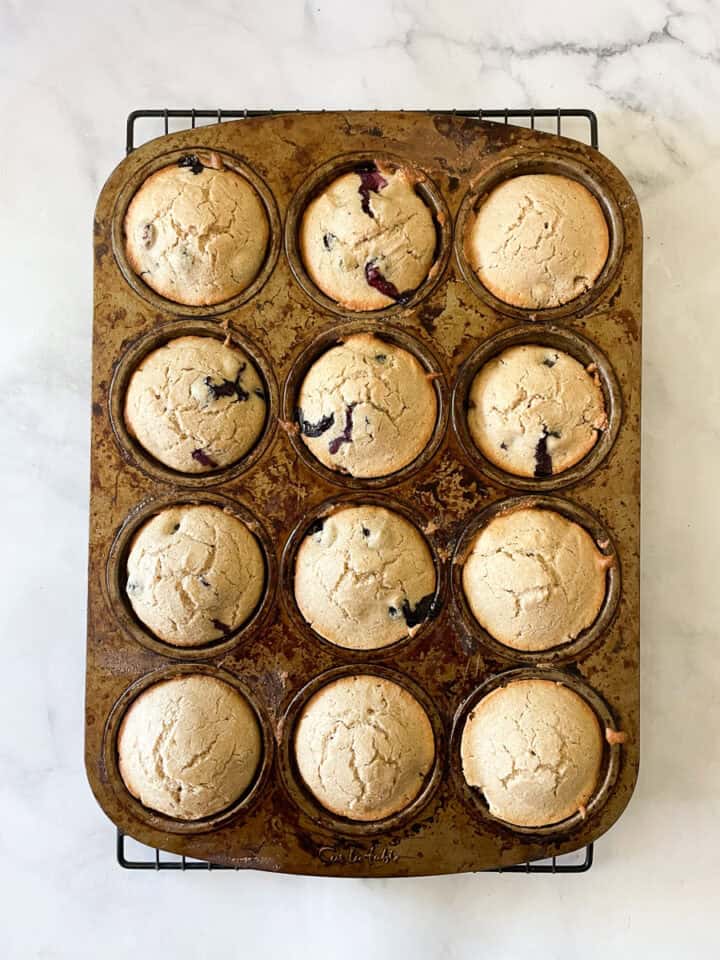 One dozen oat flour blueberry muffins cool in the pan.