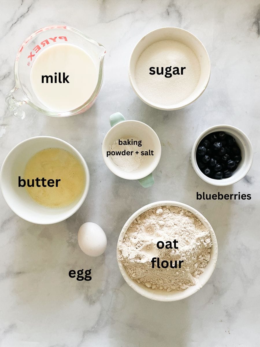 The ingredients for oat flour blueberry muffins are shown labelled and portioned out: butter, milk, sugar, egg, baking powder, salt, oat flour, blueberries.
