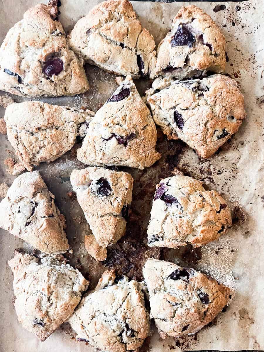 One dozen gluten free scones on a baking tray.