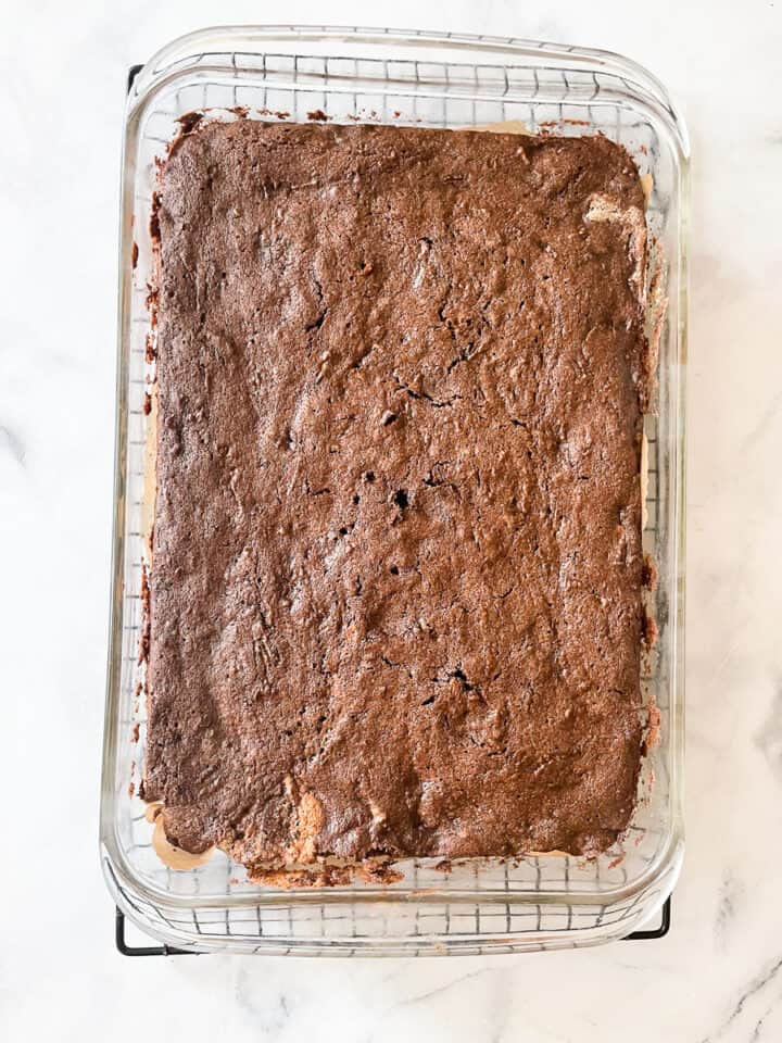 The gluten free zucchini chocolate cools in the pan.