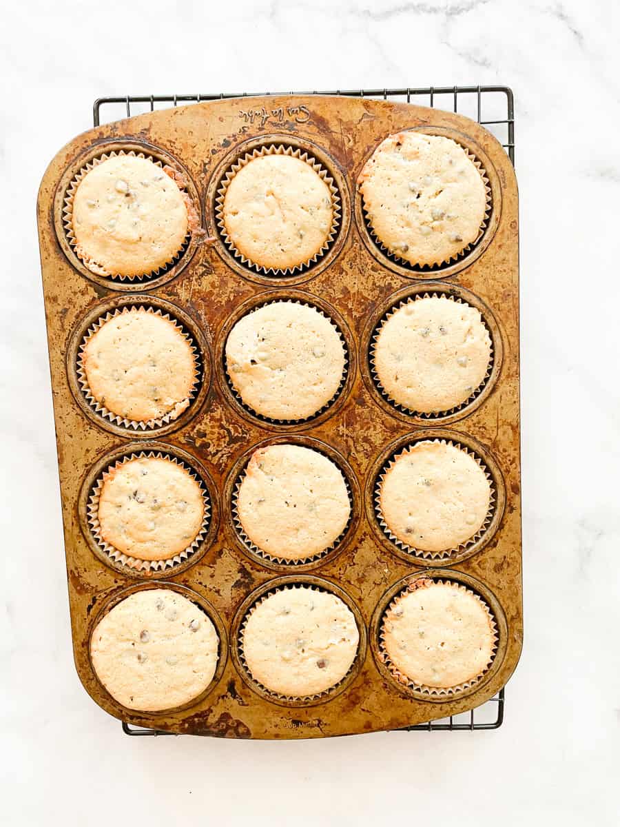 Baked chocolate chip cupcakes in a tin.