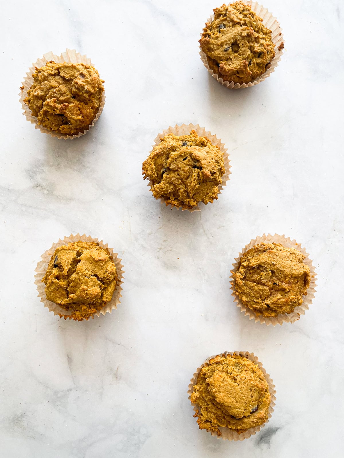 Six gluten free pumpkin chocolate chip muffins on a counter.