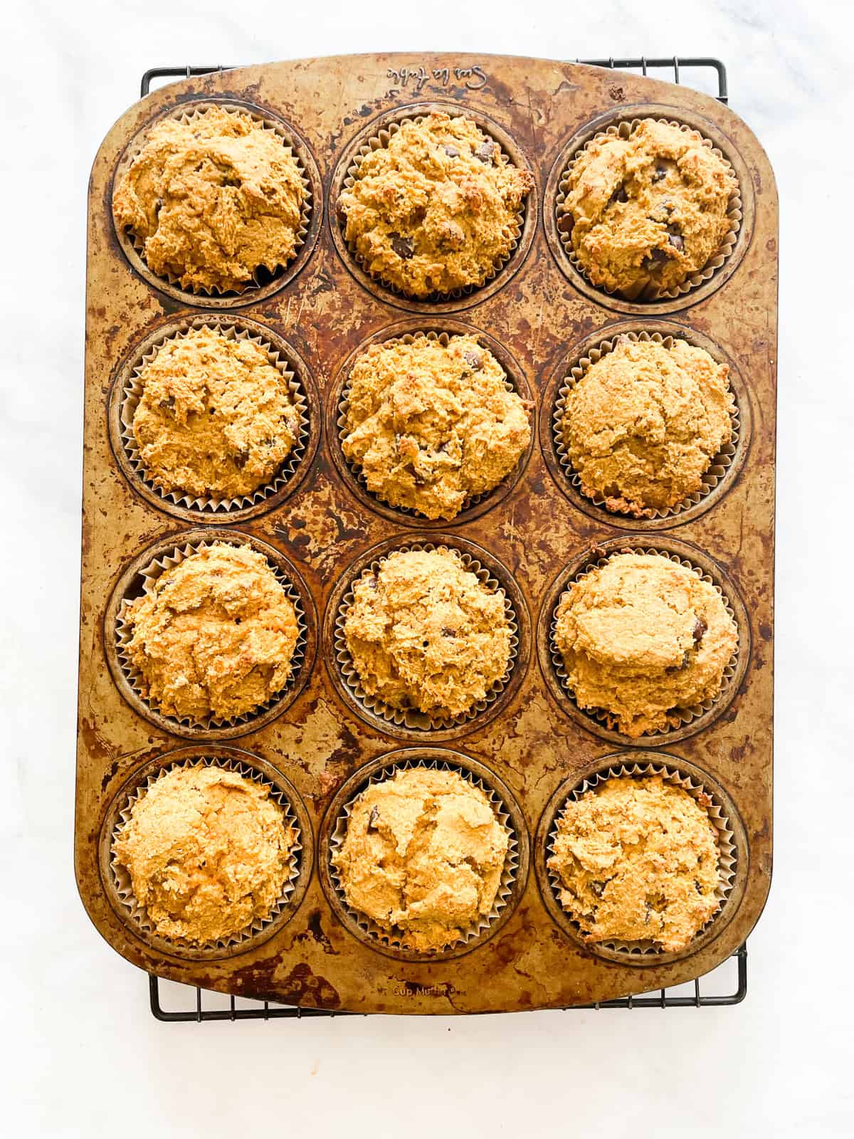 Gluten free pumpkin chocolate chip muffins cool in the pan.