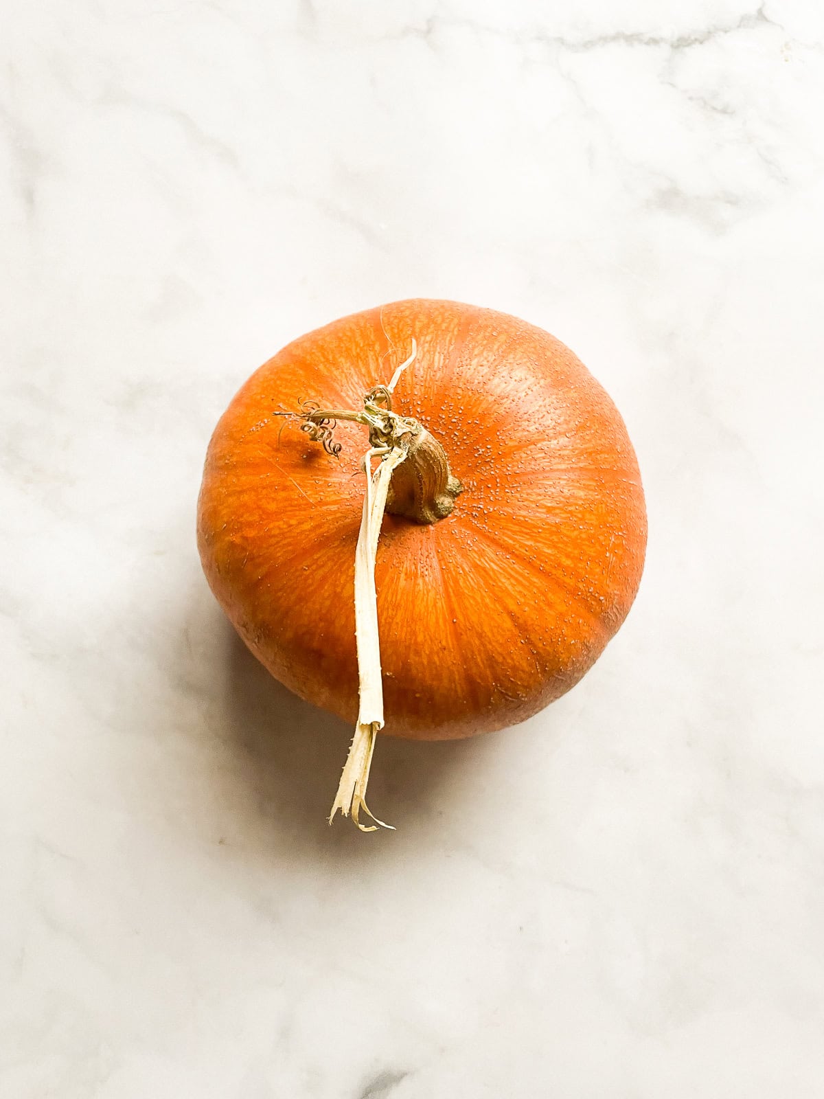 A pumpkin on a white counter.