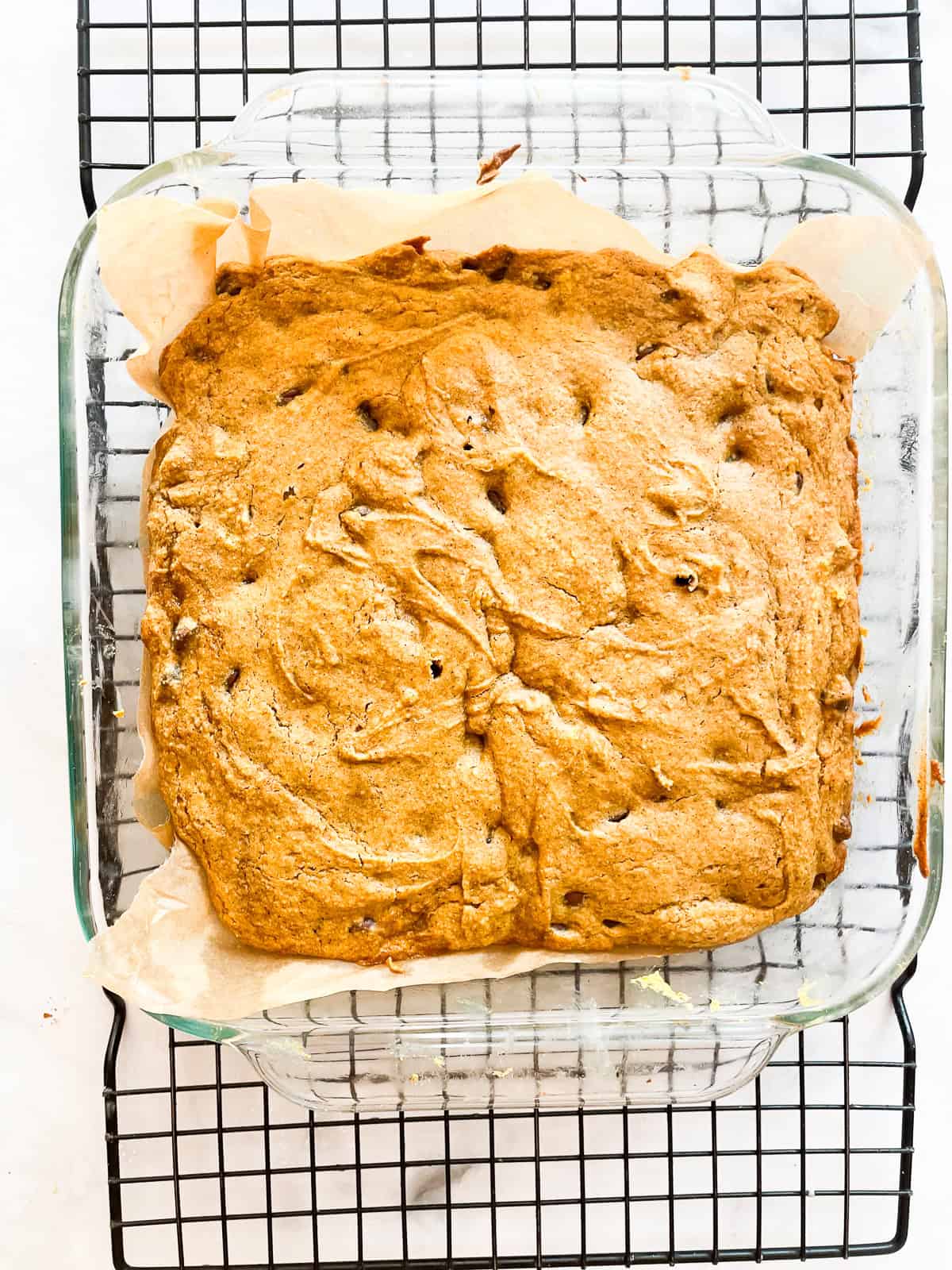 A baked pumpkin chocolate chip cake cools in the pan.