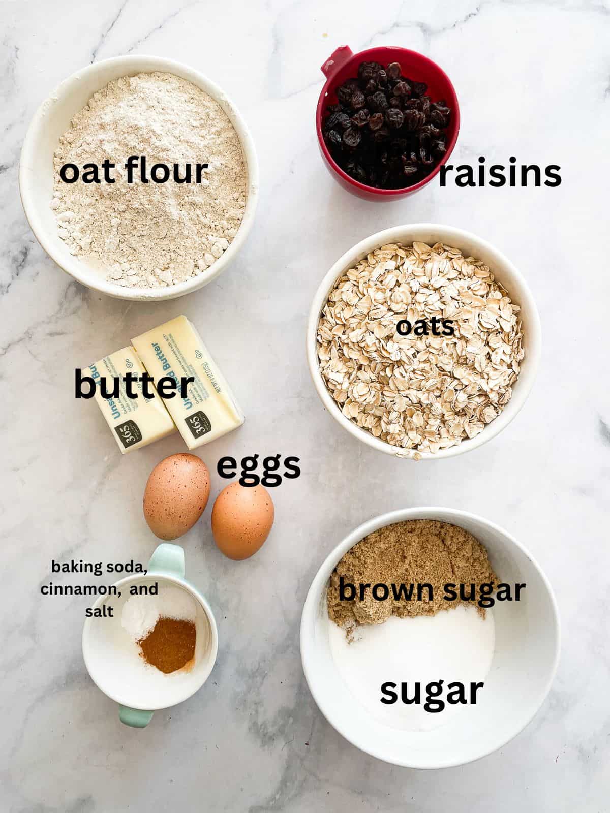 The ingredients for oatmeal raisin bars are text labeled.