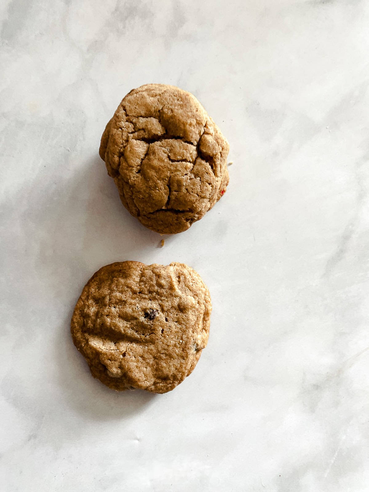 Two whole wheat chocolate chips cookies on a counter.