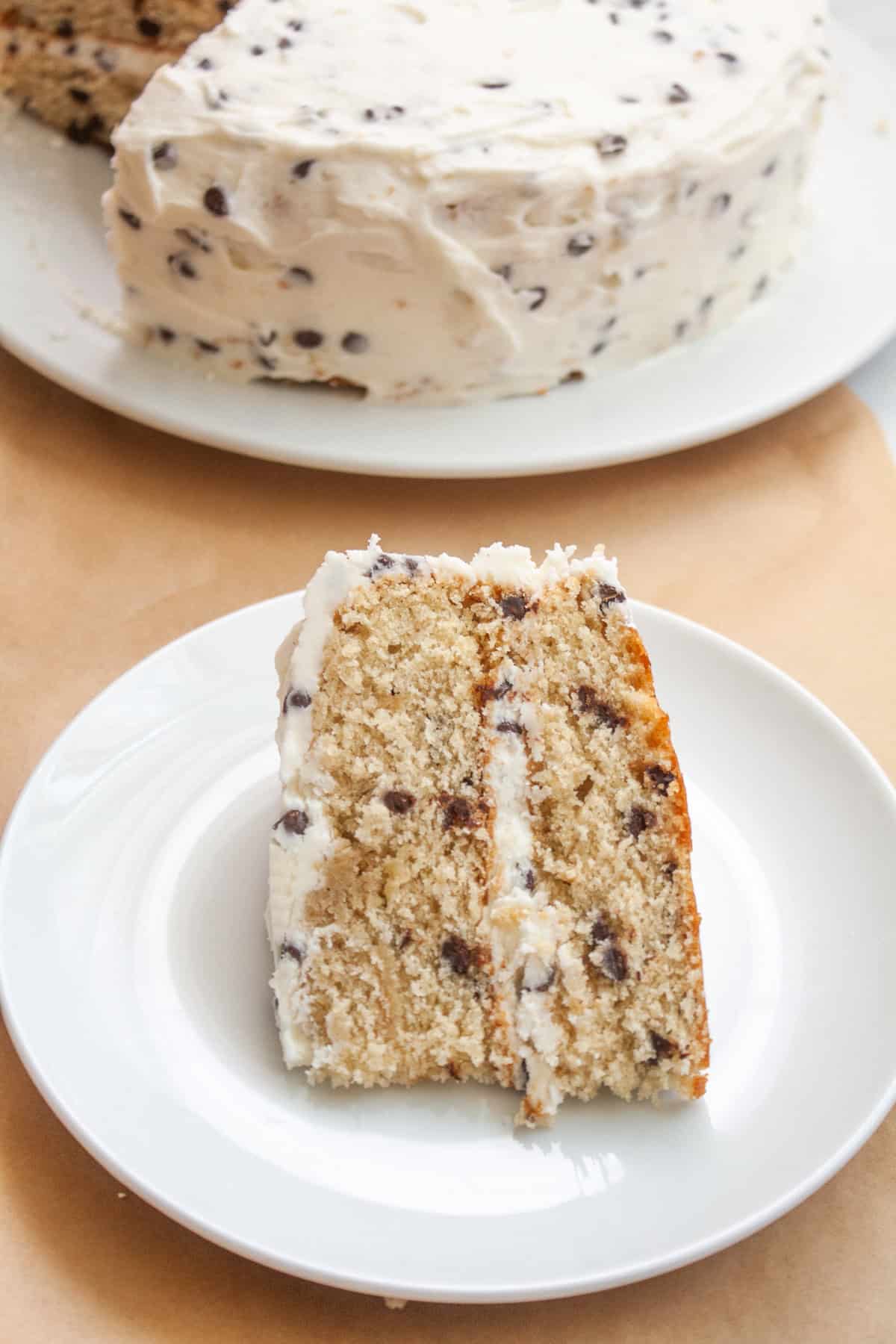 A piece of chocolate chip cake on a white plate.