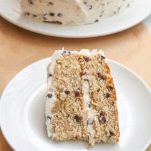 A piece of chocolate chip cake on a white plate.