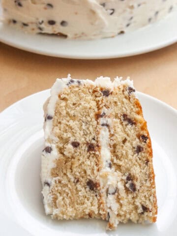 A piece of chocolate chip cake on a white plate.