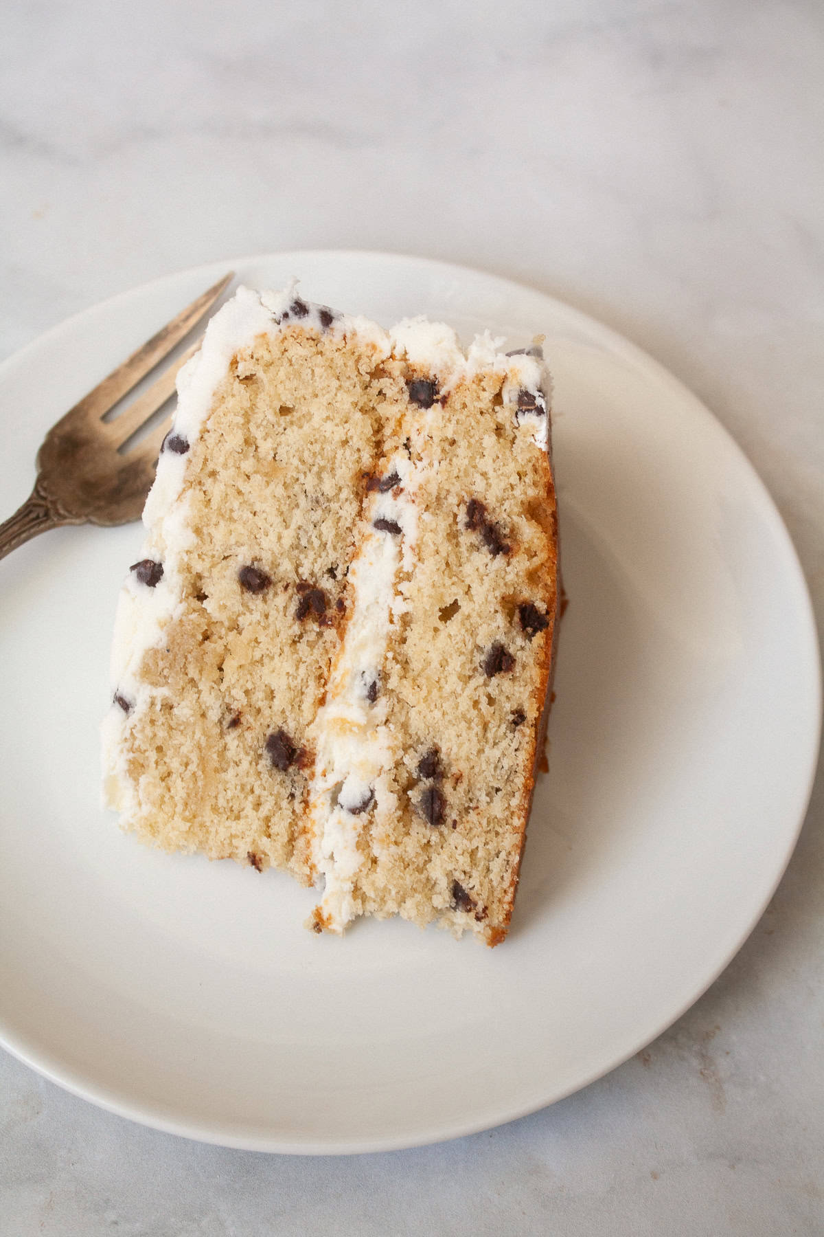 A piece of chocolate chip cake on a plate with a fork next to it.