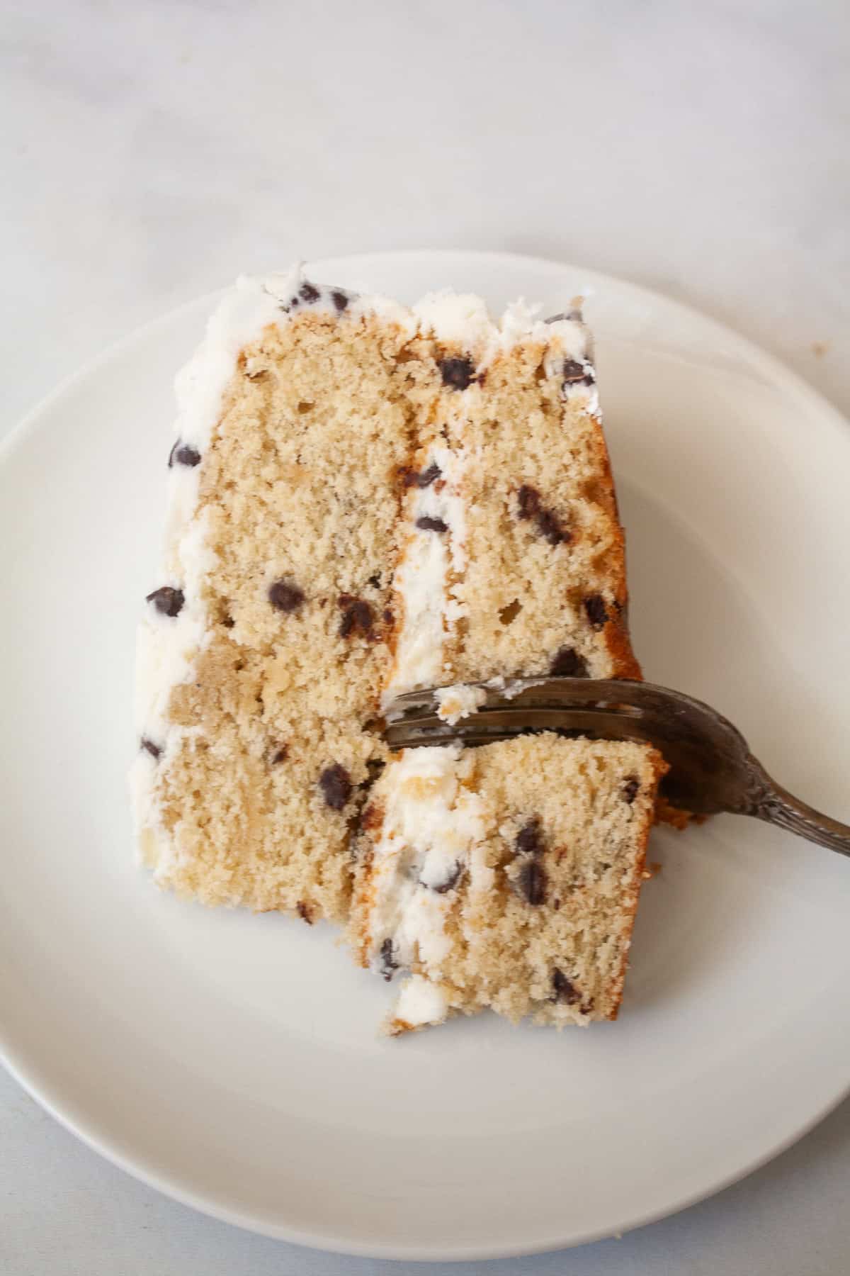 A fork cuts into a piece of chocolate chip cake on a plate.