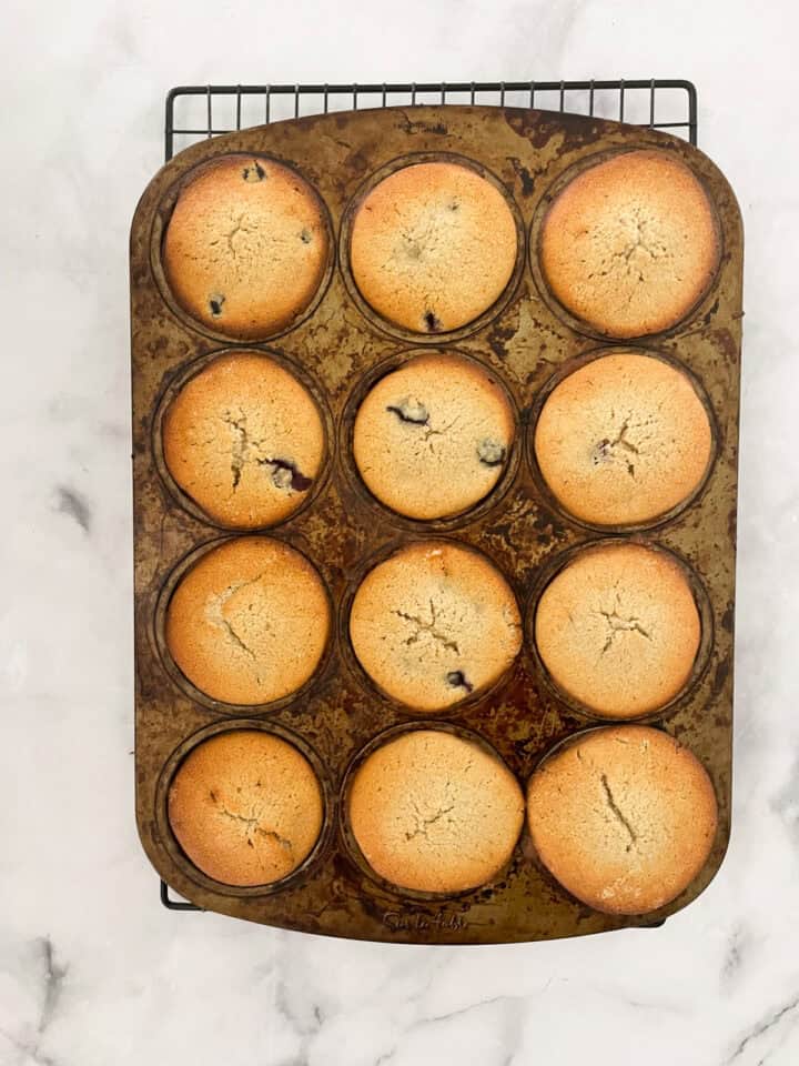 A tin of baked GF blueberry muffins.