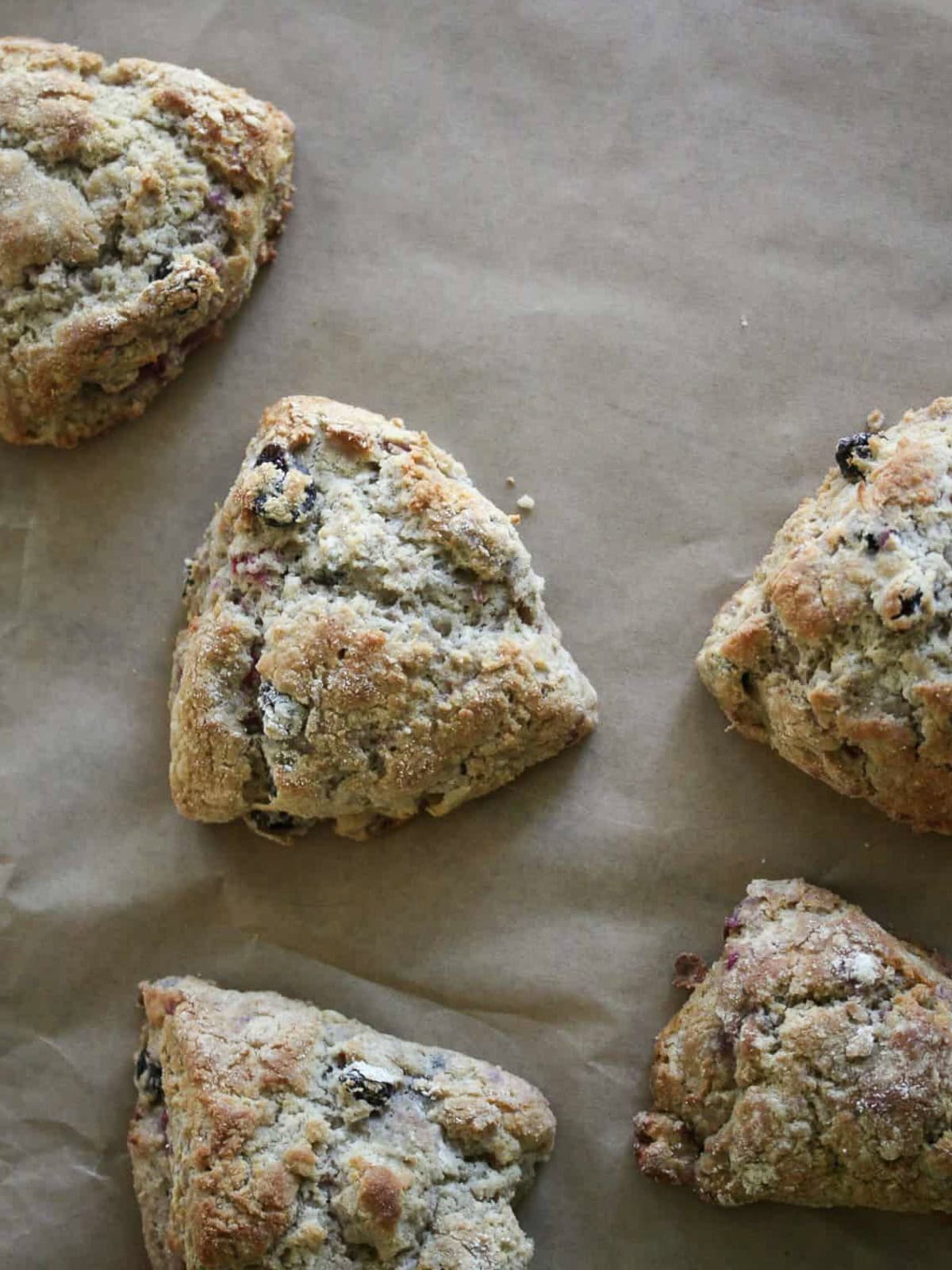 Buckwheat scones cool on a baking sheet.