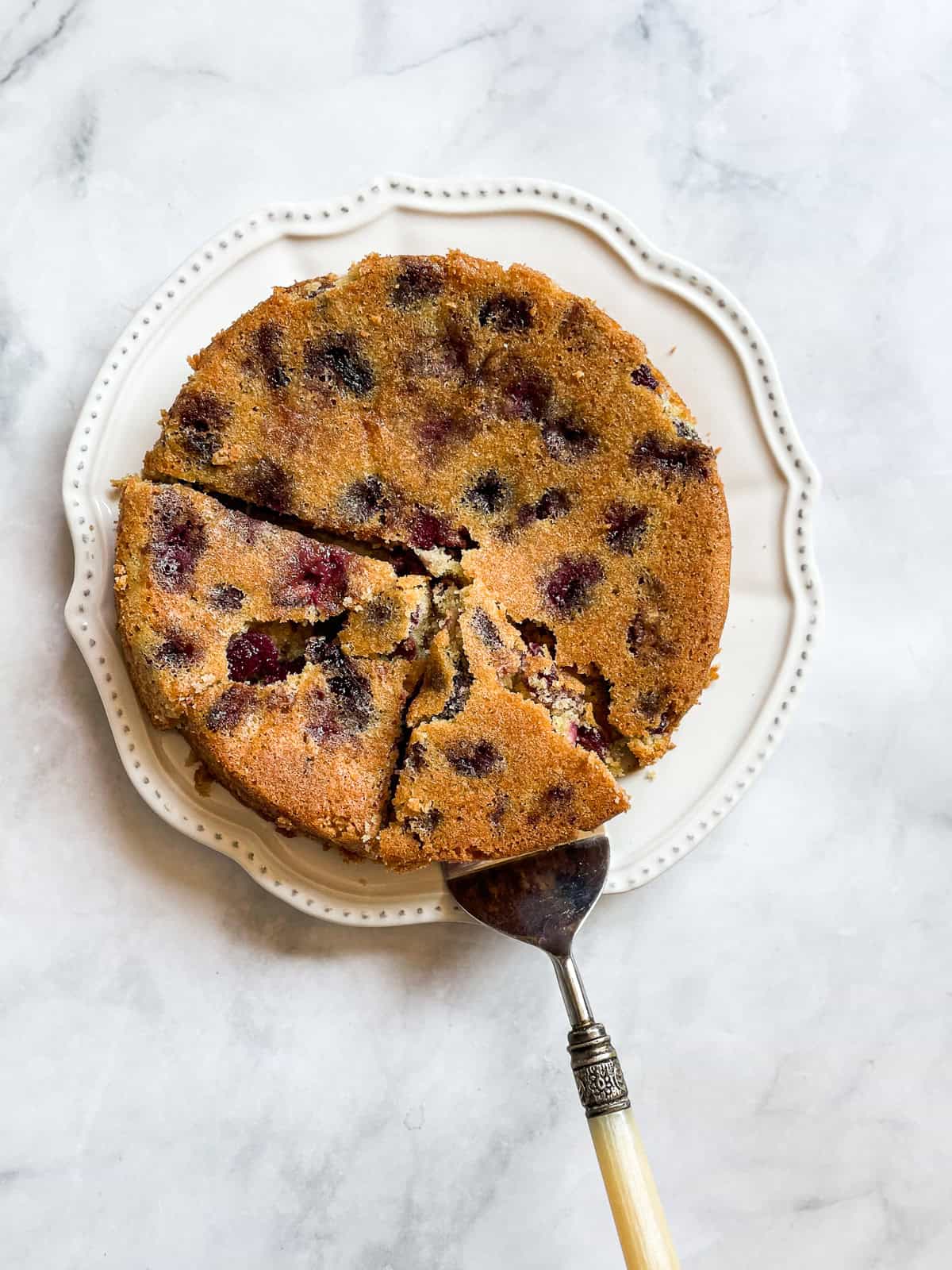 This rustic gluten-free cherry torte tucks sweet, fresh cherries into a tender, buttery cake made with just two simple gluten-free flours. A cake server lifts out a piece of cherry torte.
