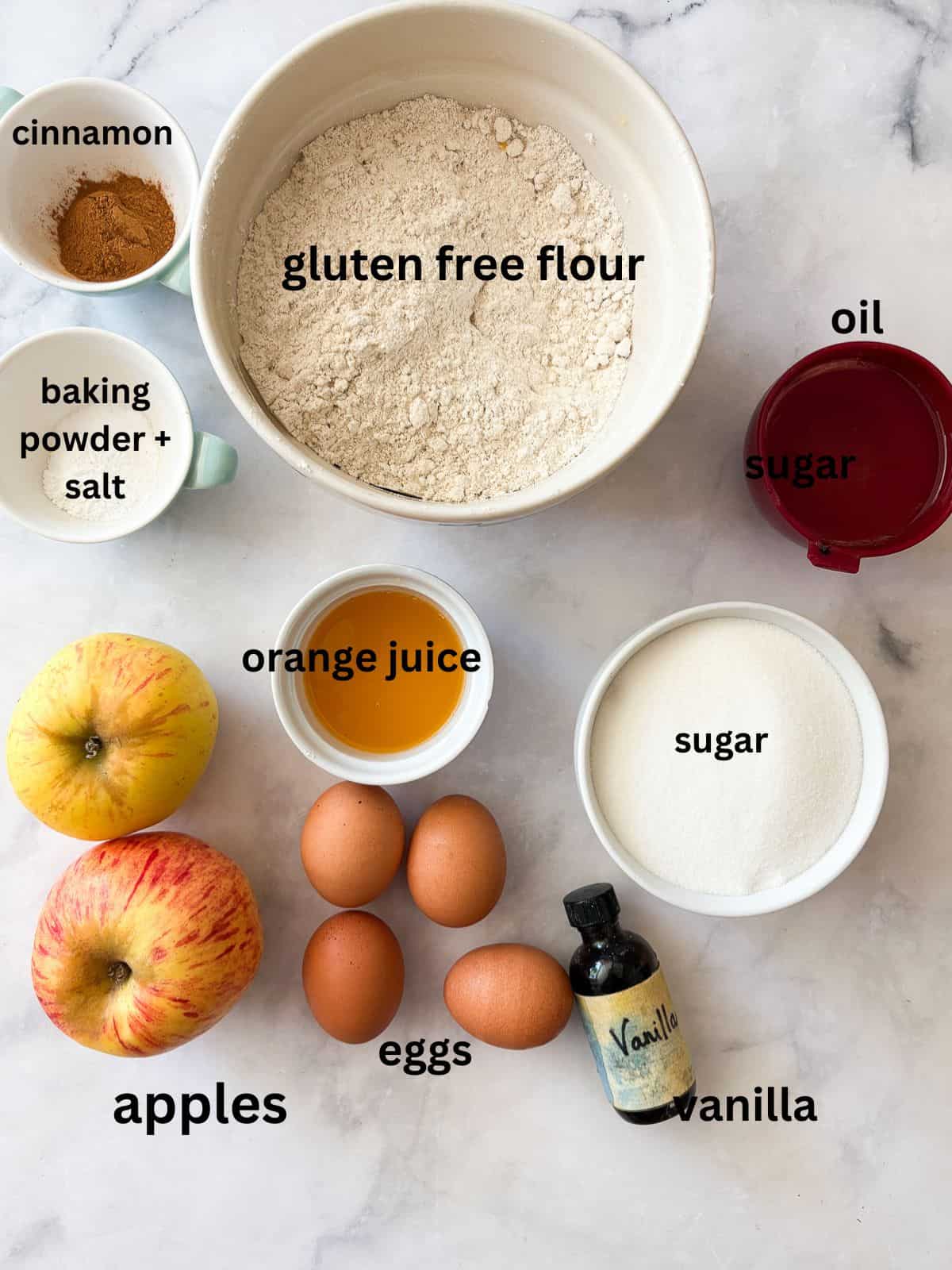 A sweet and simple gluten free apple cake that showcases a tender cake layered with cinnamon-y apples. One-bowl recipe! The ingredients for gluten free apple cake are labeled and portioned out.