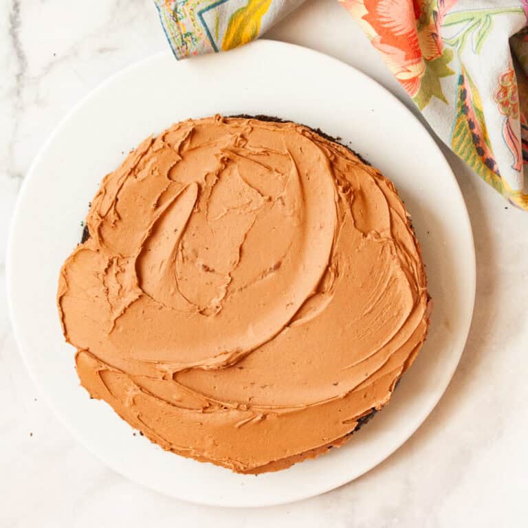 The best chocolate cake ever on a white plate.