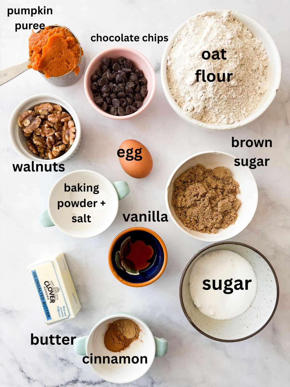 Studded with chopped walnuts and scattered with semisweet chocolate chips, gluten-free pumpkin blondies are thick and chewy. Made in 1 bowl! Ingredients for gluten free pumpkin blondies are text labeled.