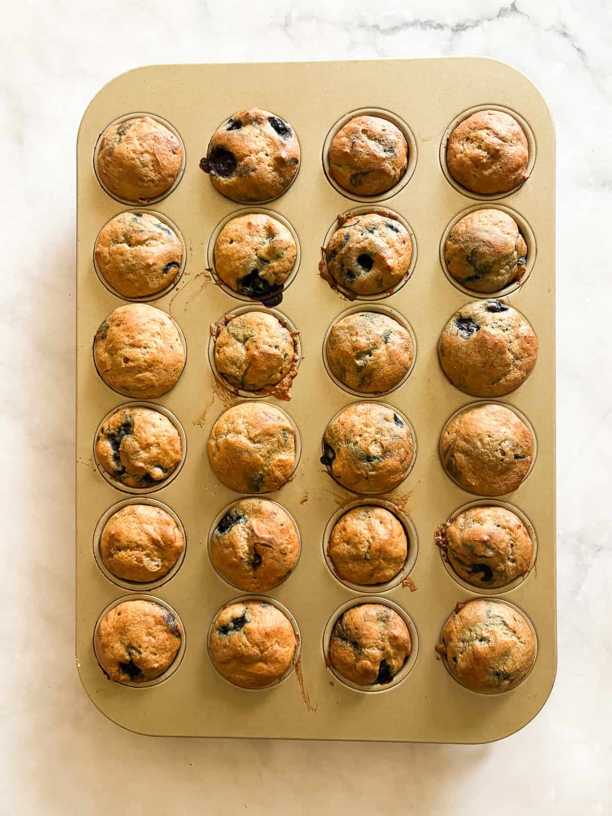 Two-bite, gluten-free mini blueberry muffins are made with whole-grain oat flour, Greek yogurt, and plenty of juicy berries. Kids love them! A mini muffin tin with gluten free mini blueberry muffins cools.