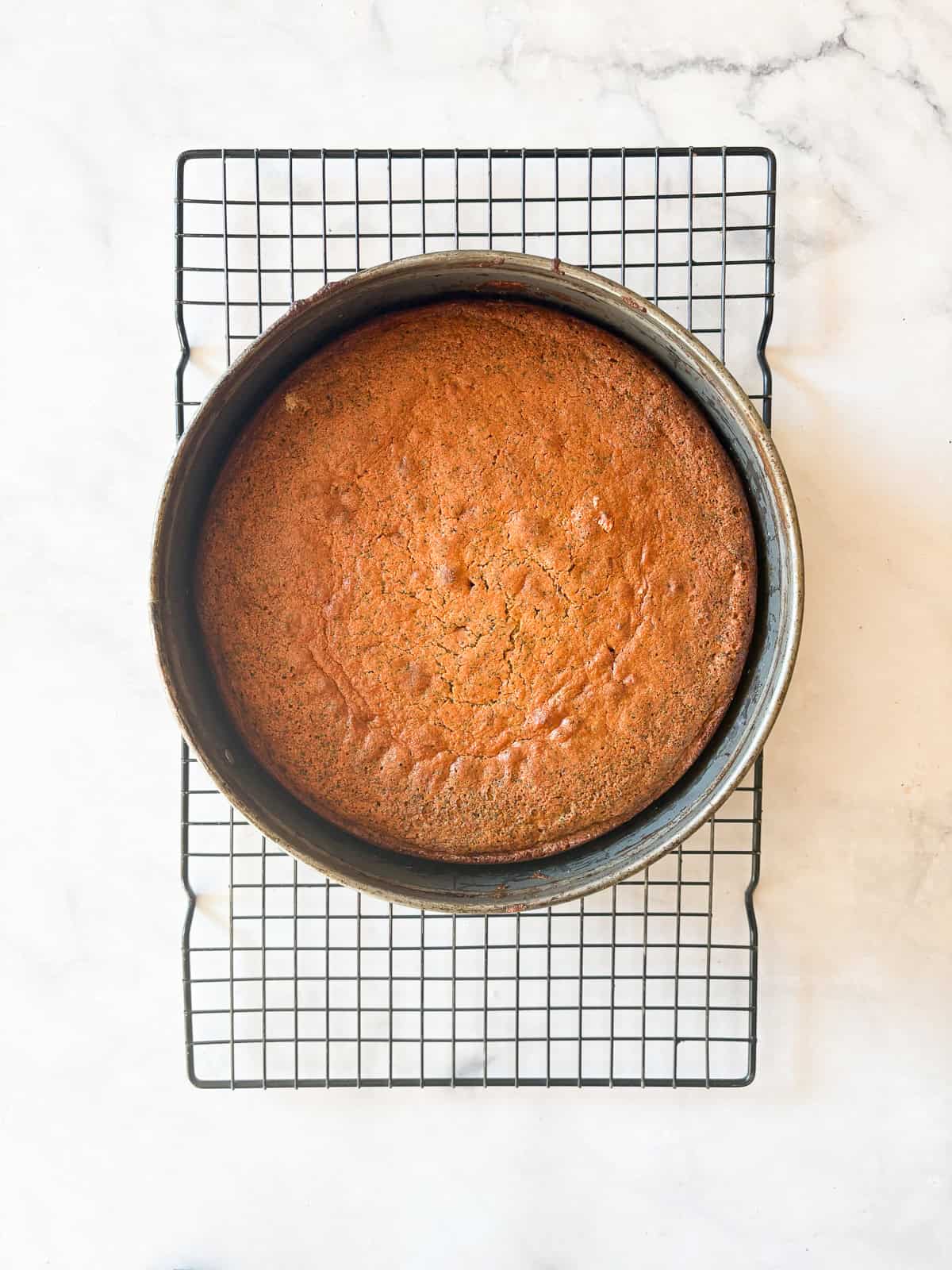 his gluten-free poppyseed cake is tender-crumbed, generously speckled with poppyseeds, and made with two simple flours. A gluten free poppyseed cake cools in the cake pan.