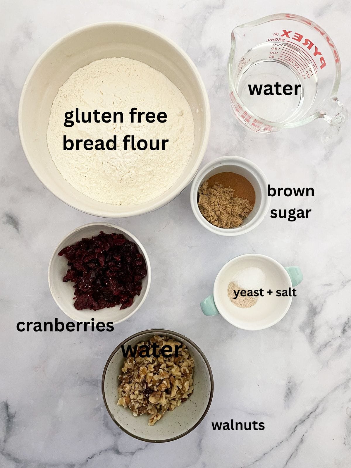 This rustic no-knead gluten free cranberry and walnut bread is jam-packed with extras and features a beautiful, gluten-free crumb. Ingredients for gluten free no knead cranberry walnut bread are text labeled.