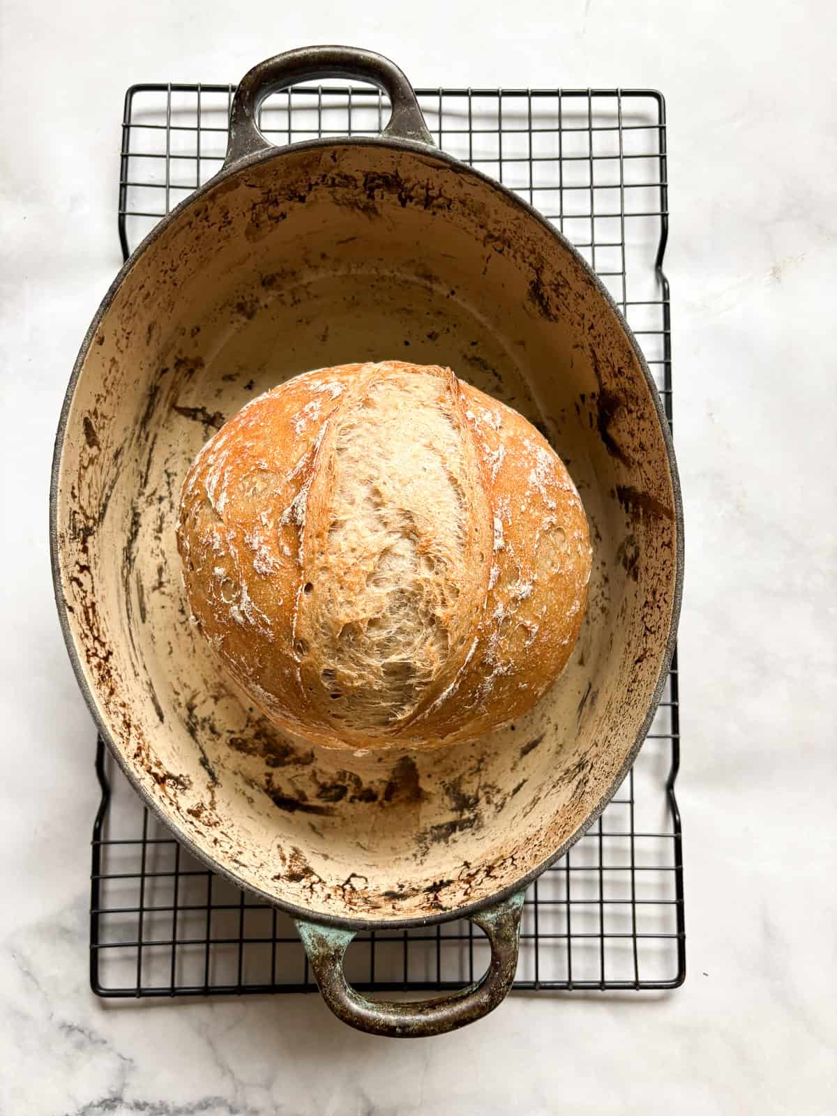 A crusty gluten-free no-knead bread recipe made with 4 simple ingredients. It bakes up perfectly every time and rivals any wheat-based bread! A loaf of gluten free no knead bread after baking with the lid on for 40 minutes.