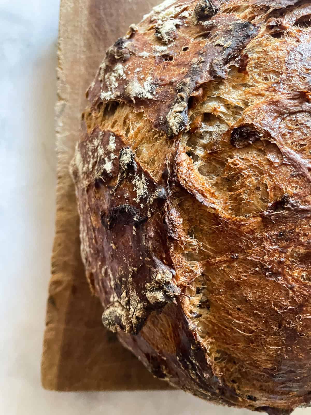 This rustic no-knead gluten free cranberry and walnut bread is jam-packed with extras and features a beautiful, gluten-free crumb. A crackly-crusted loaf of gluten free no knead cranberry walnut bread.