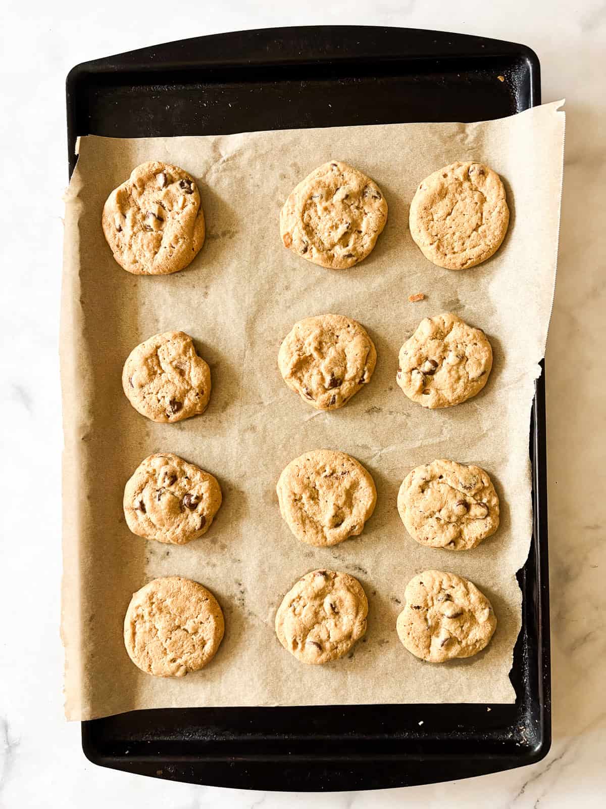 Chewy and irresistible, these gluten-free peanut butter chocolate chip cookies are made with plenty of creamy pb plus lots of chocolate! A baking sheet with baked gluten free peanut butter chocolate chip cookies.