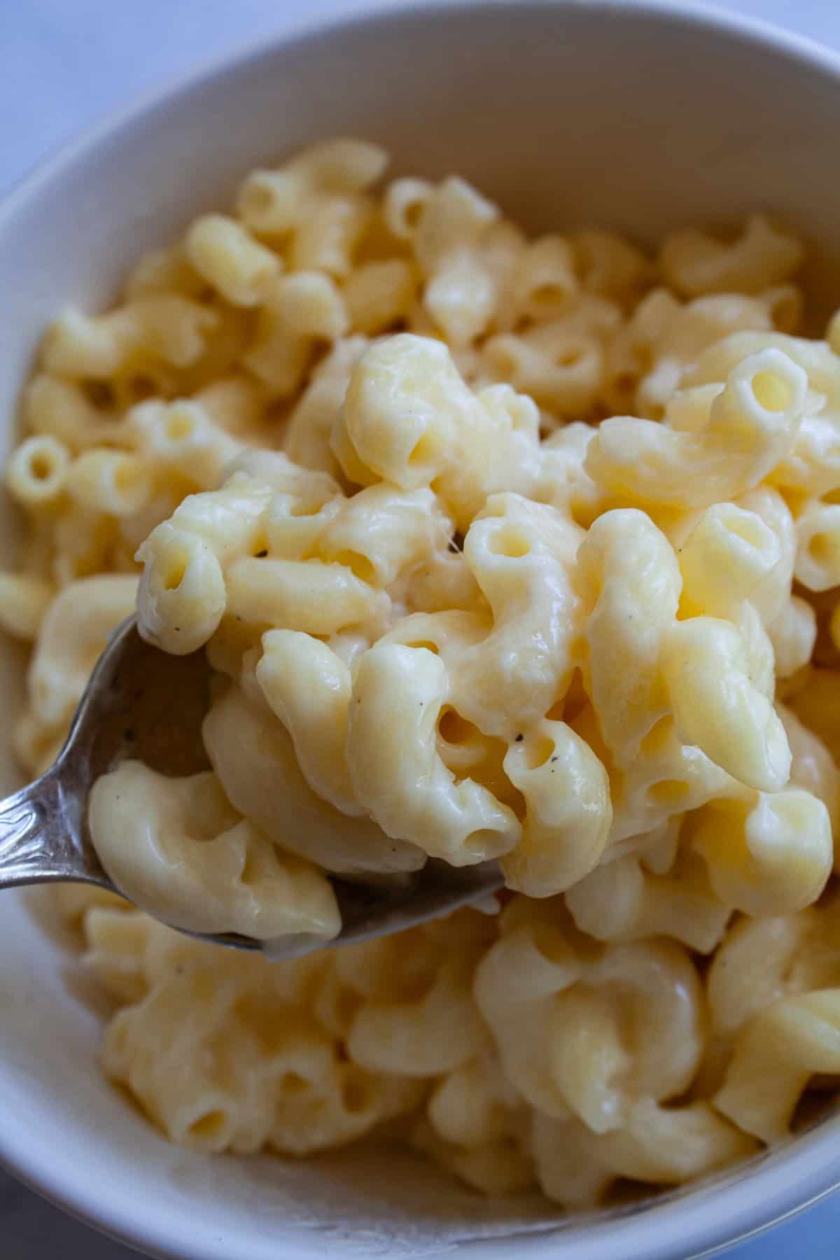 Every bite of this creamy, one pot gluten free mac and cheese delivers homemade comfort - so much better than store-bought! Fast and easy. Close up of a spoonful of one pot gluten free mac and cheese.