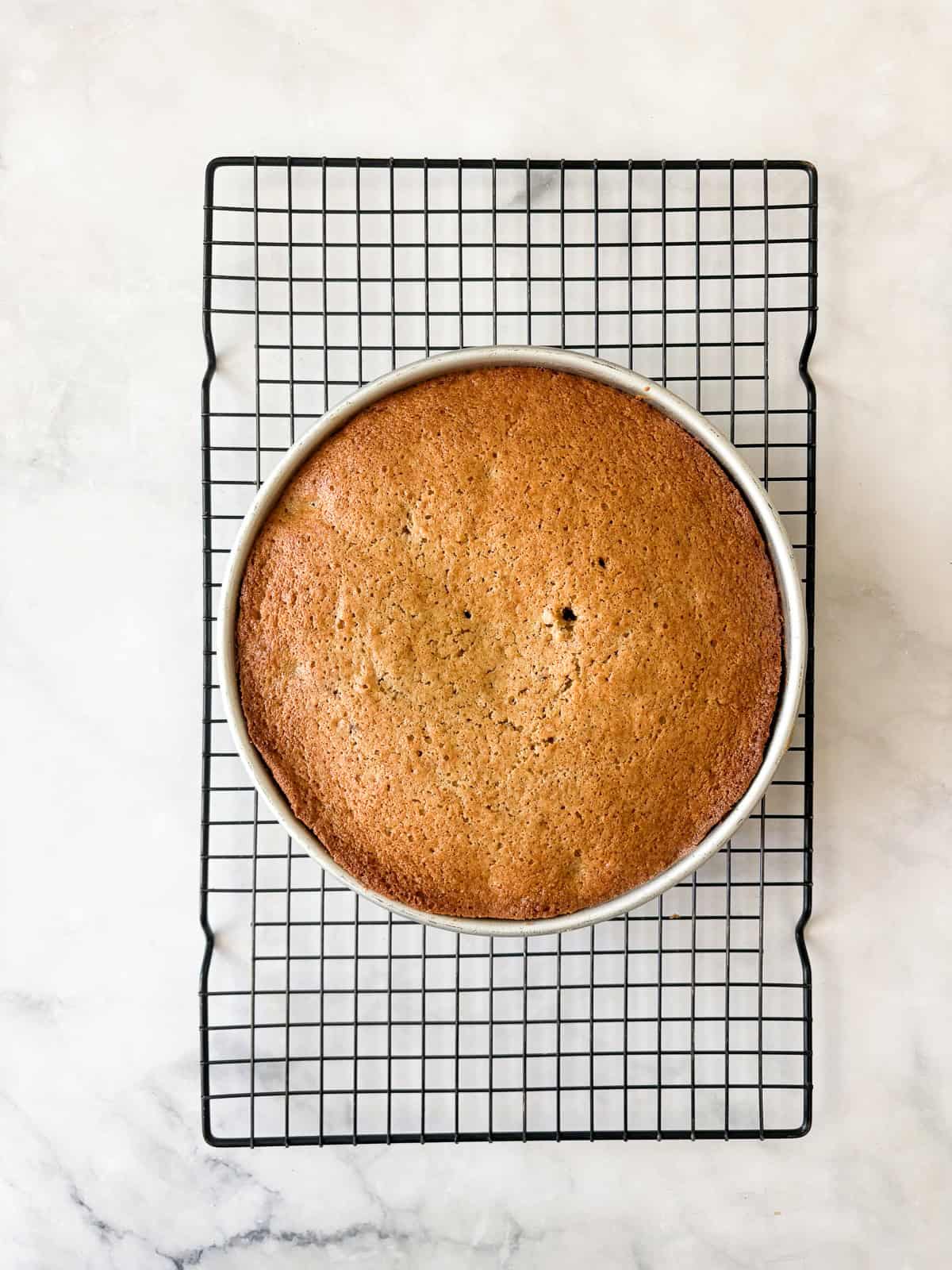 A gluten free berry cake cools in the pan on a rack.
