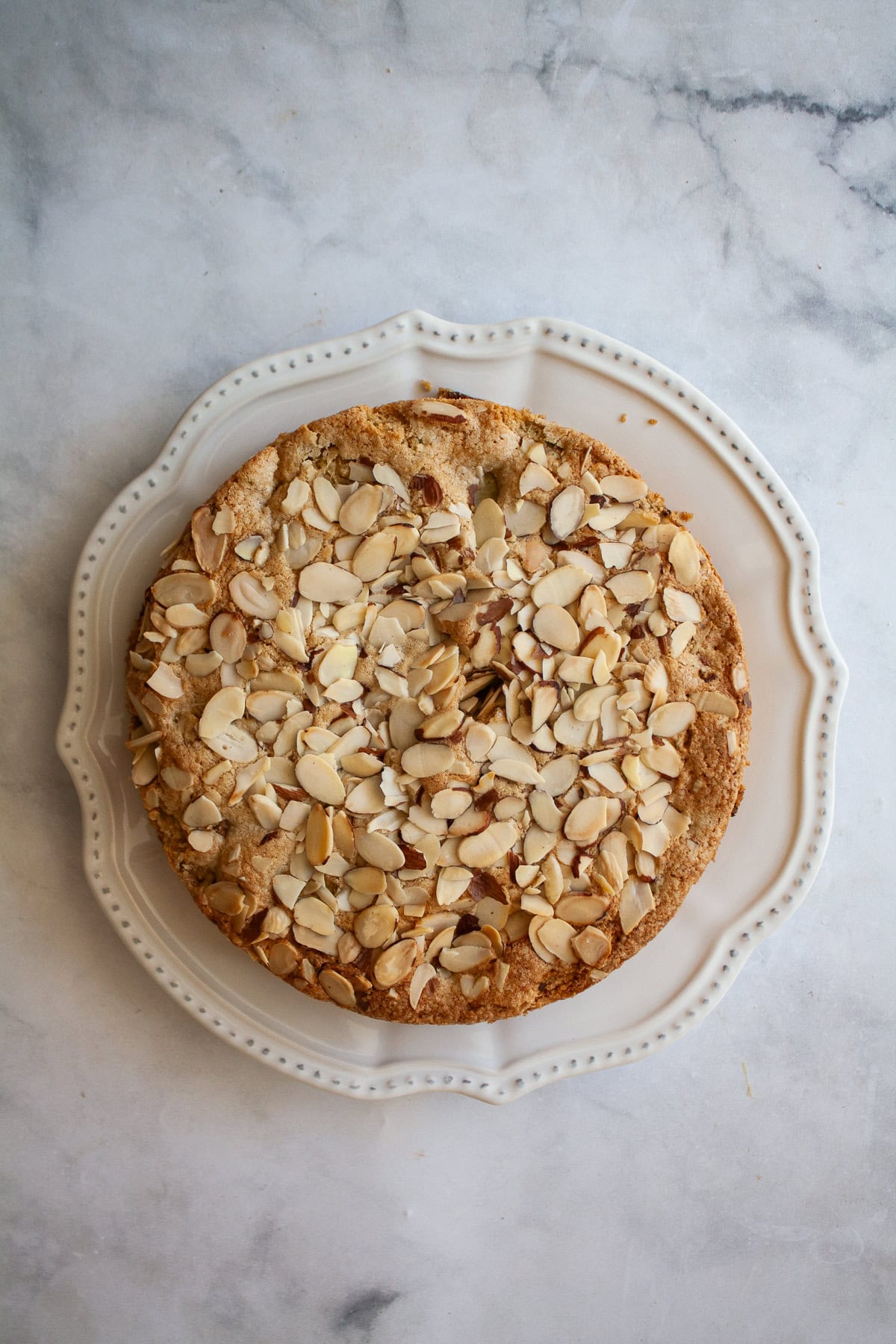 Tart rhubarb is the star of this gluten free rhubarb cake, with jammy pockets of rhubarb and a soft-crumbed cake that's just sweet enough. A gluten free rhubarb cake on a white plate.