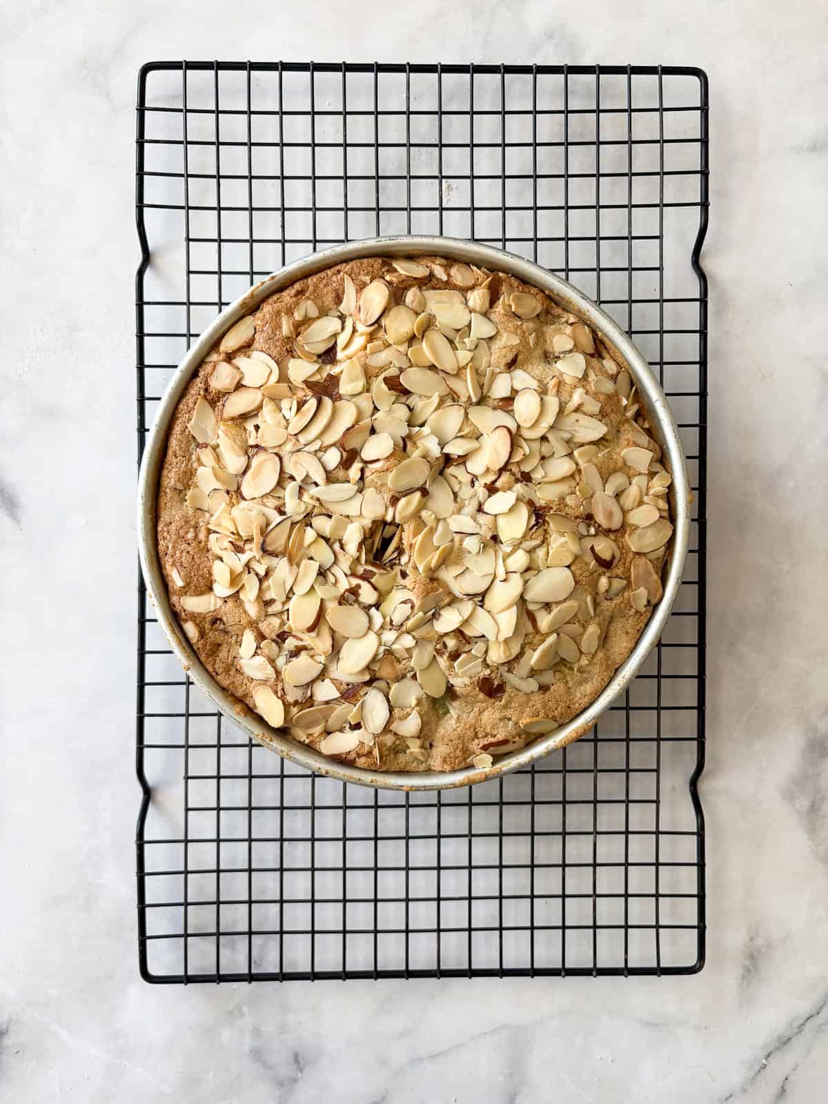 Tart rhubarb is the star of this gluten free rhubarb cake, with jammy pockets of rhubarb and a soft-crumbed cake that's just sweet enough. A gluten free rhubarb cake cools in the pan.