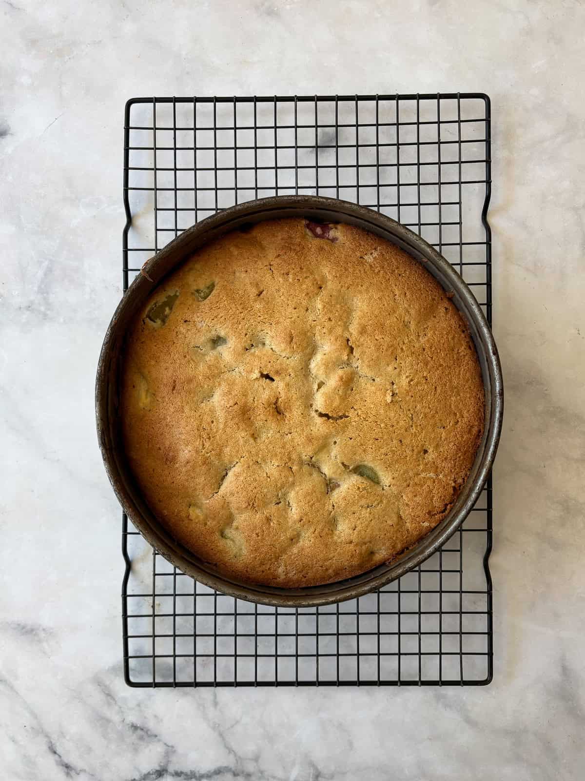 This pretty cake marries crisp, sweet apples with tart rhubarb to make a seasonal gluten free apple and rhubarb cake! A baked gluten free apple and rhubarb cake cools on a rack.