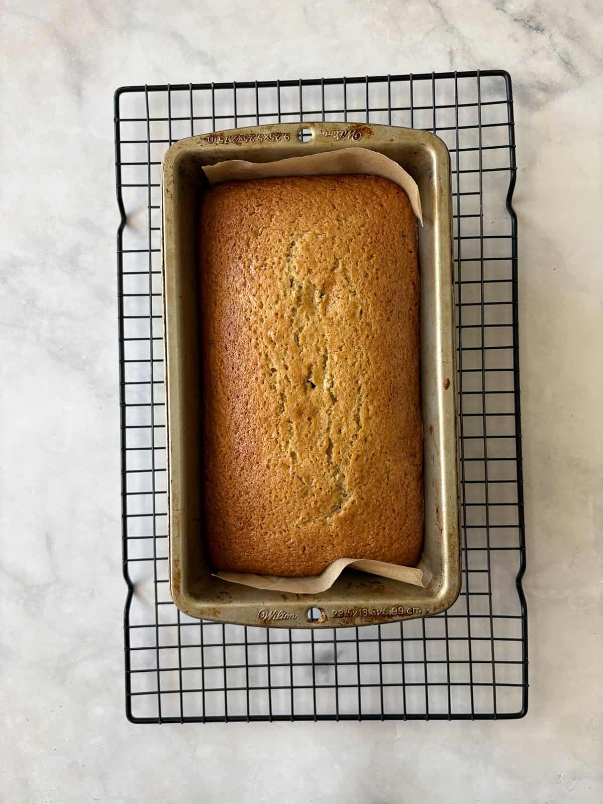 A loaf of gluten free lemon blueberry bread cools in the pan.