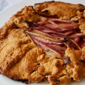 A baked gluten free rhubarb galette.