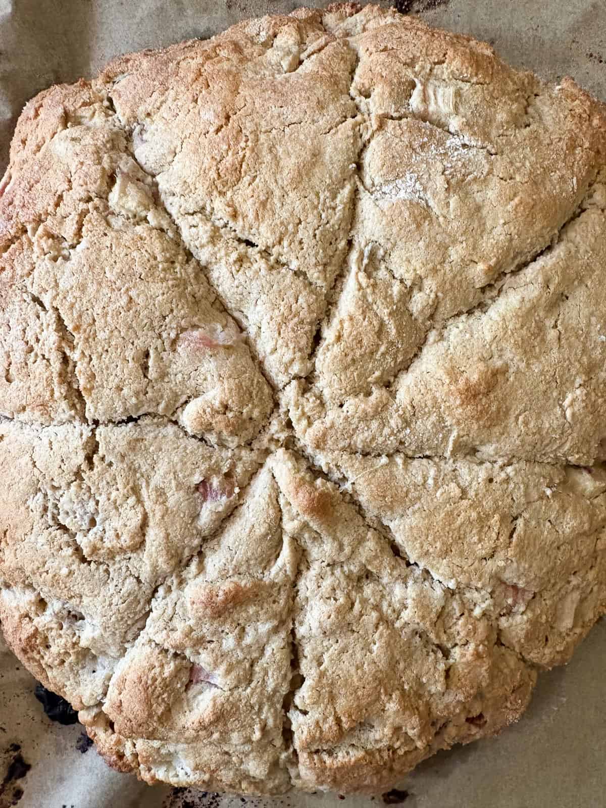 Tender, flaky rhubarb scones made with whole wheat flour and lots of tart spring rhubarb and a hint of orange zest. Baked whole wheat rhubarb scones cool.