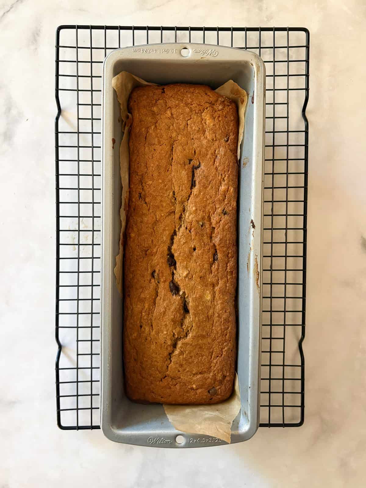 An easy gluten free batter packed with whole grains and yogurt makes for the best loaf of gluten free chocolate chip banana bread. A loaf of gluten free chocolate chip banana bread cools in the pan.