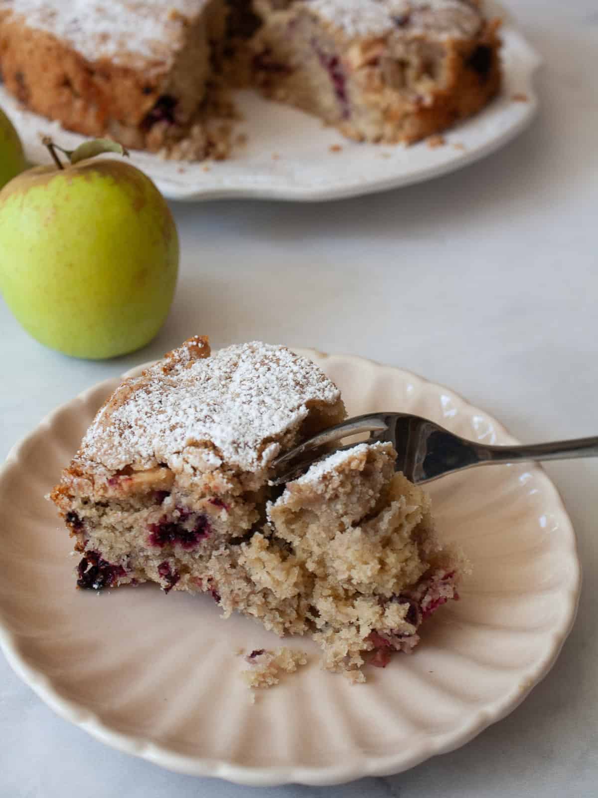A simple and sweet blackberry apple cake that comes together in one bowl and can be made with g-f oat flour or whole wheat pastry flour. A fork cuts into a slice of blackberry apple cake.