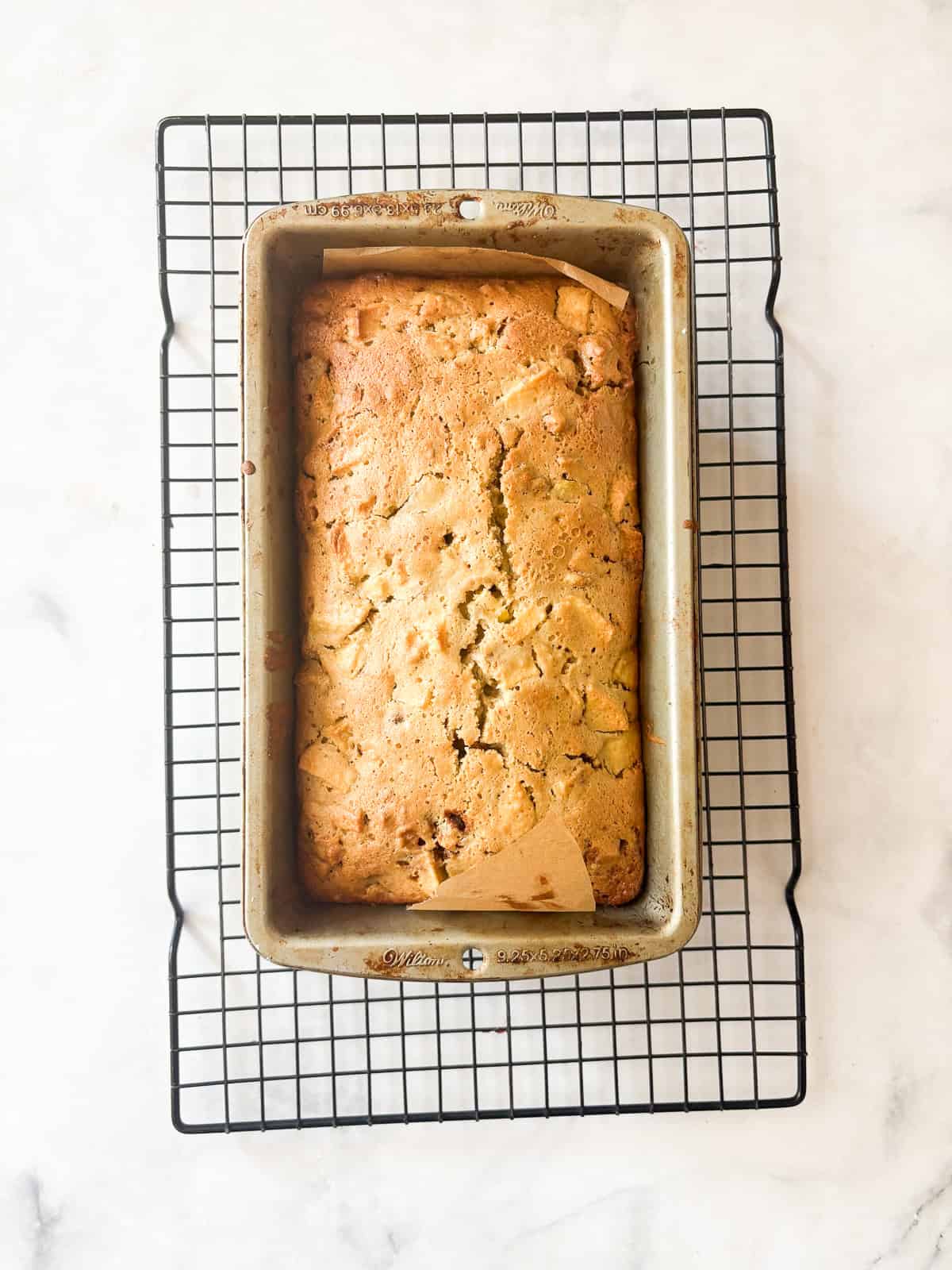 This easy apple walnut bread is tender and filled with fresh apples and crunchy walnuts. Make it with whole wheat flour or oat flour. A loaf of apple walnut bread cools in a pan.